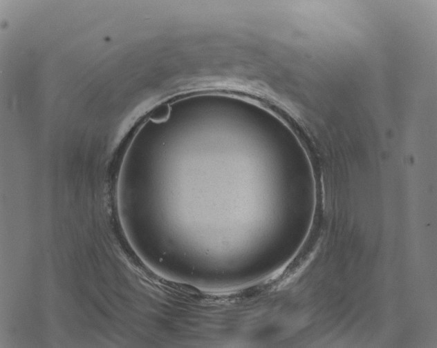 X0000072501501200607211236