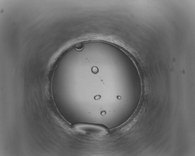 X0000072501502200607211236