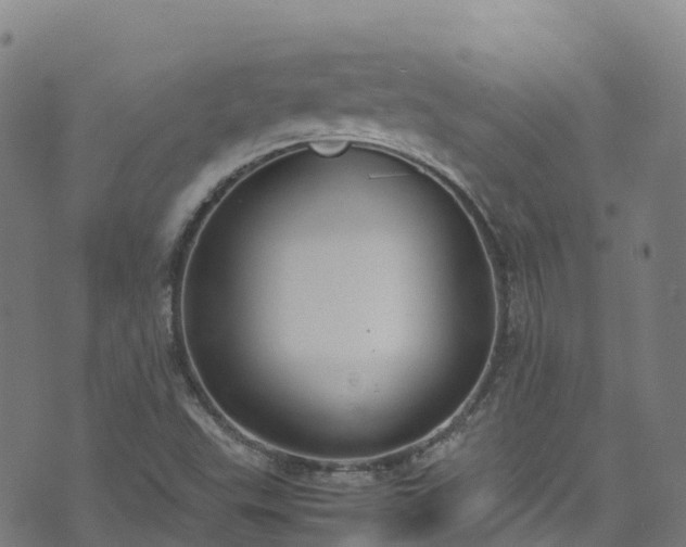 X0000072501503200607211236