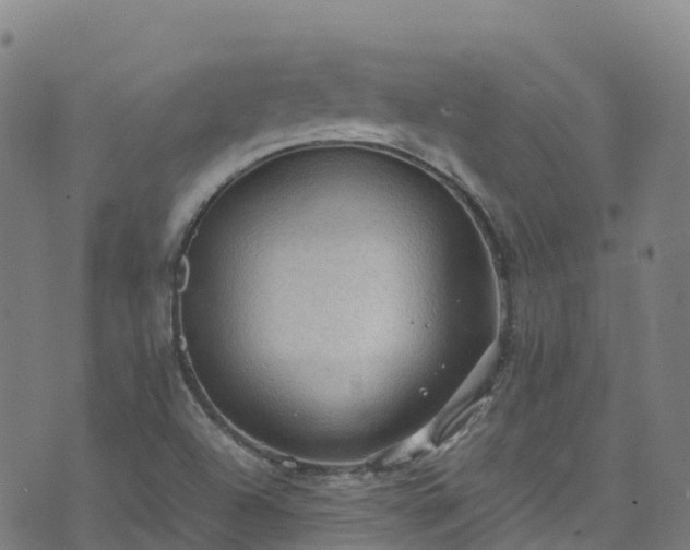 X0000072501504200607211236