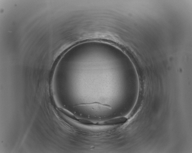 X0000072501505200607211236