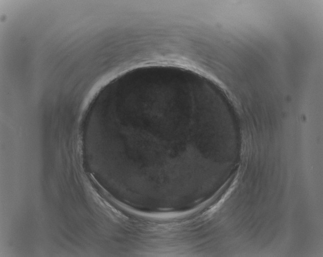 X0000072501506200607211236