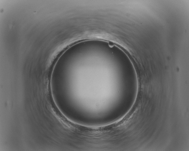 X0000072501507200607211236