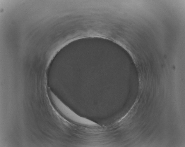 X0000072501508200607211236