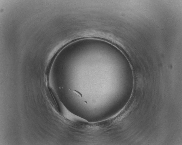 X0000072501509200607211236