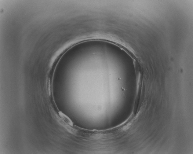 X0000072501510200607211236