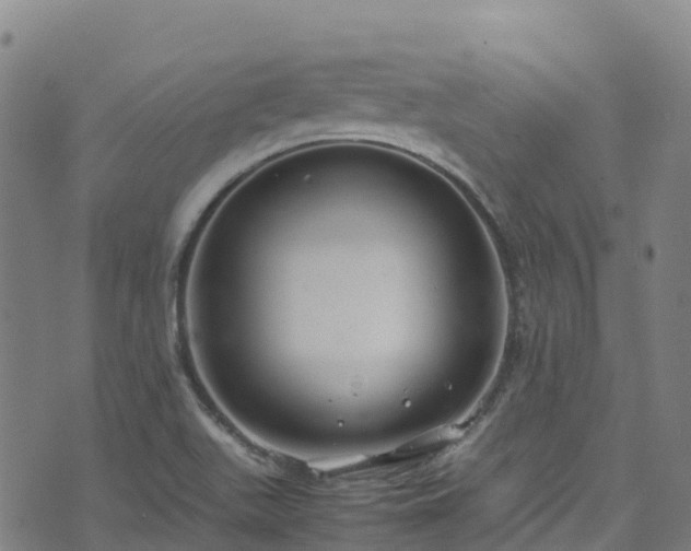 X0000072501511200607211236