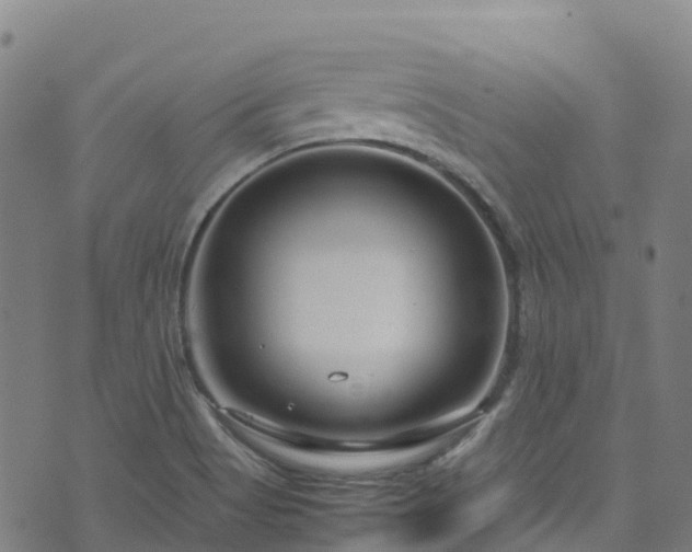 X0000072501513200607211236