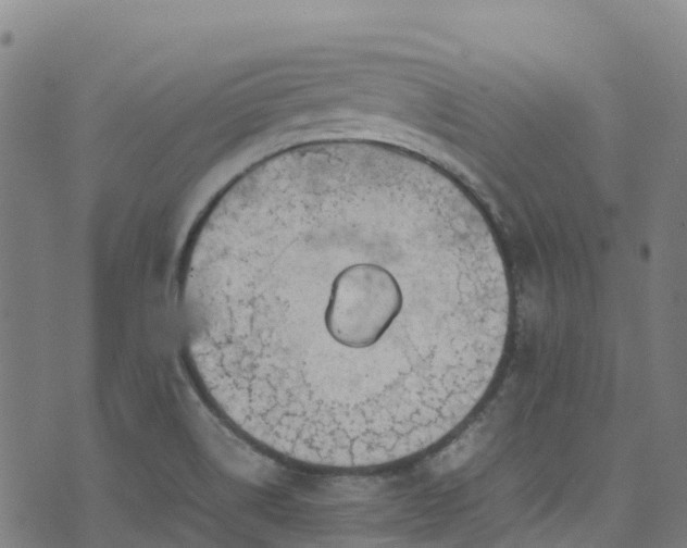 X0000072501514200607211236