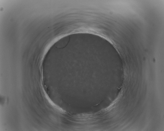 X0000072501515200607211236