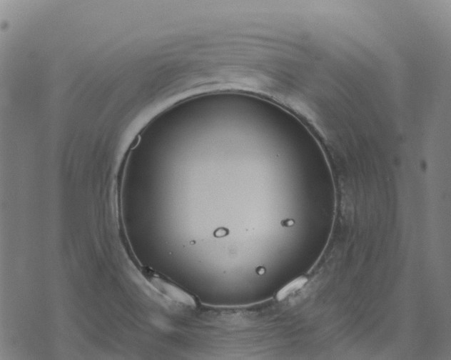 X0000072501516200607211236