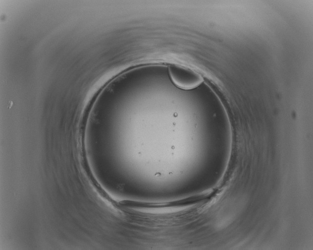 X0000072501517200607211236