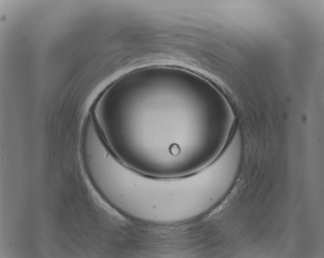 X0000072501518200607211236