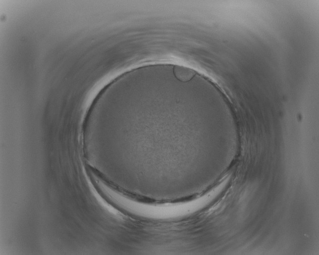 X0000072501519200607211236