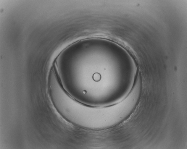 X0000072501520200607211236