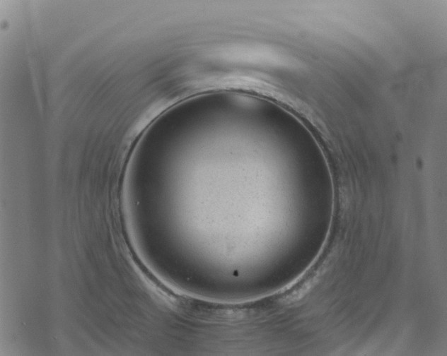 X0000072501521200607211236