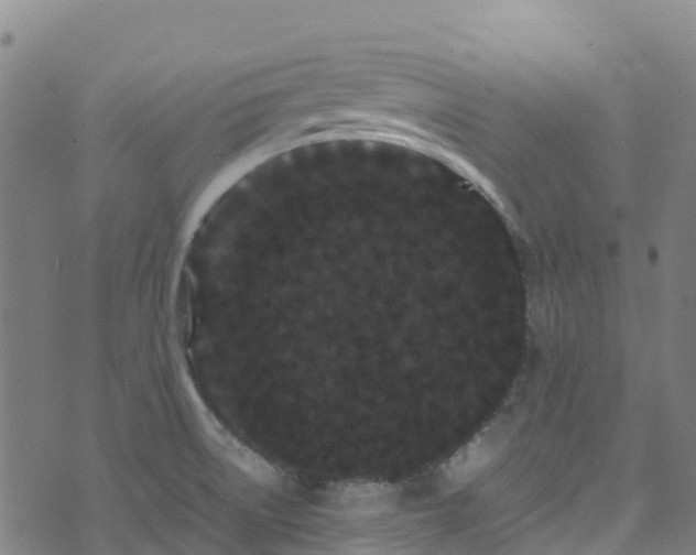 X0000072501522200607211236