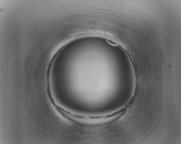 X0000072501523200607211236