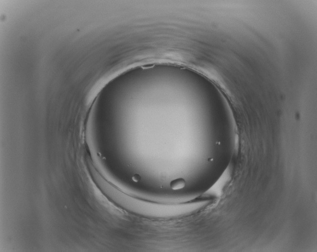 X0000072501524200607211236