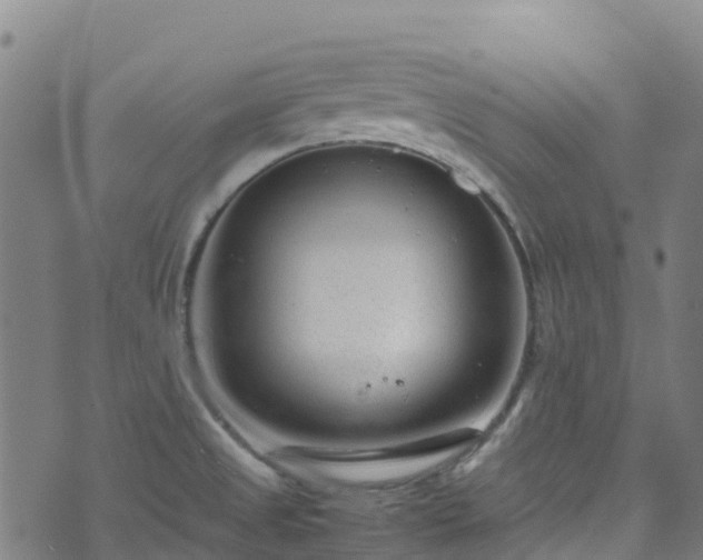 X0000072501525200607211236