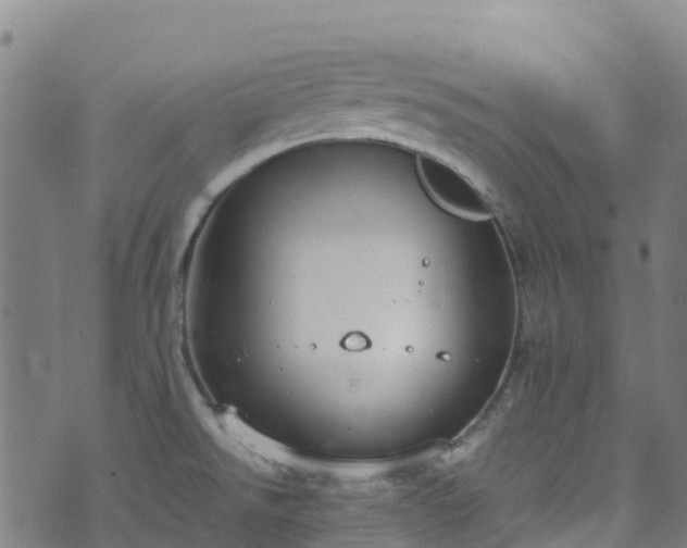 X0000072501526200607211236