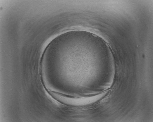 X0000072501527200607211236