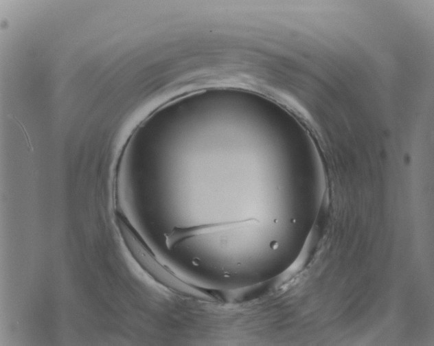 X0000072501528200607211236