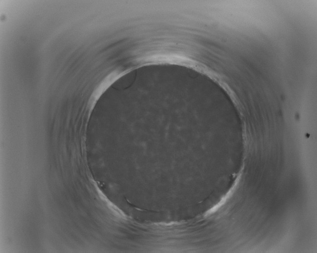 X0000072501529200607211236