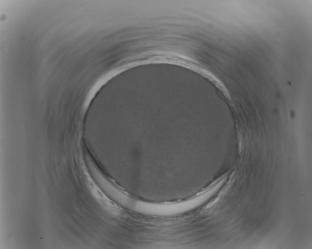 X0000072501530200607211236