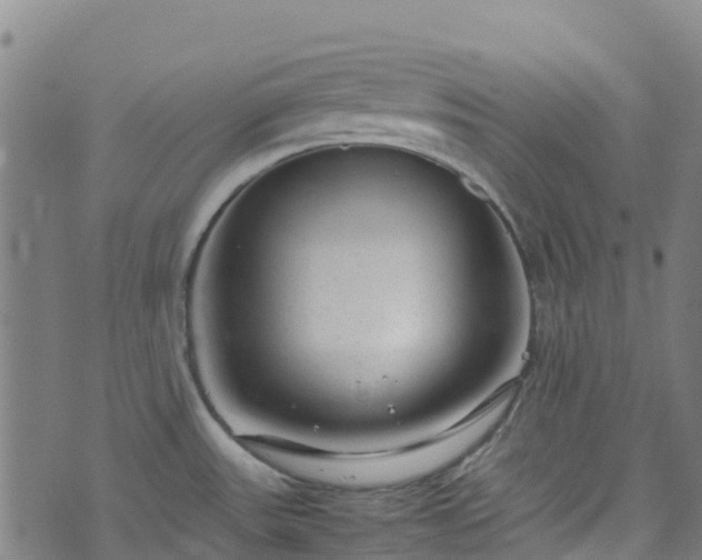 X0000072501531200607211236