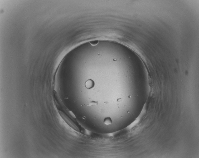 X0000072501532200607211236