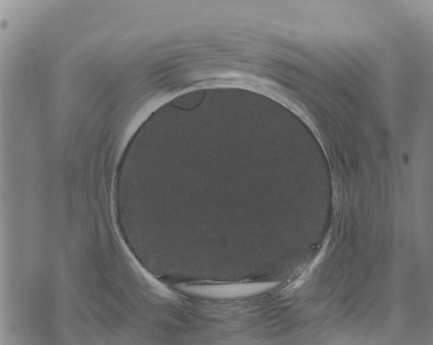 X0000072501533200607211237