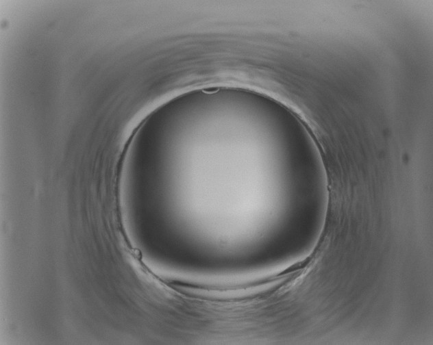 X0000072501534200607211237