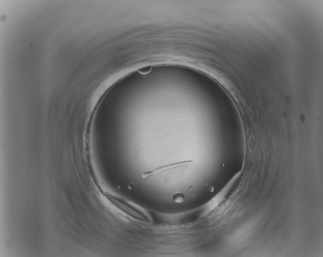 X0000072501535200607211237