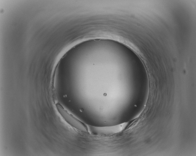 X0000072501536200607211237