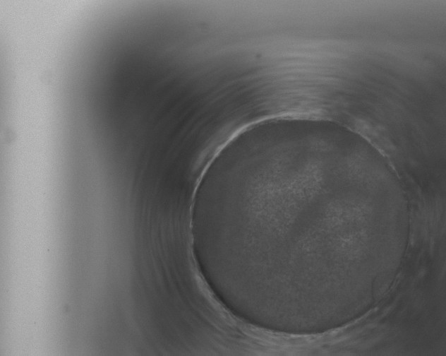 X0000072500002200607290118