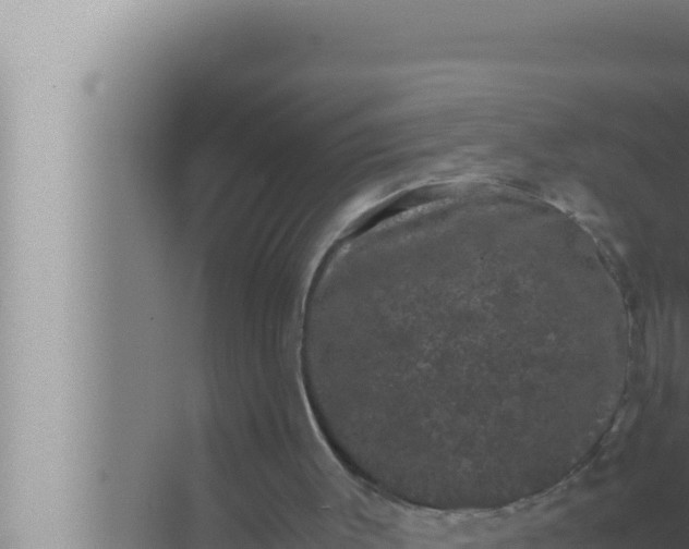 X0000072500003200607290118