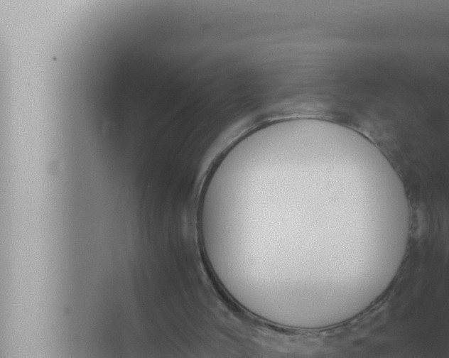 X0000072500004200607290118