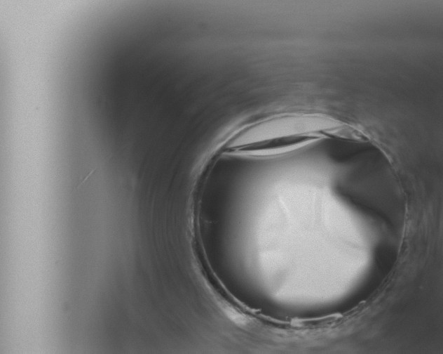 X0000072500005200607290118