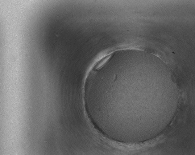 X0000072500006200607290118