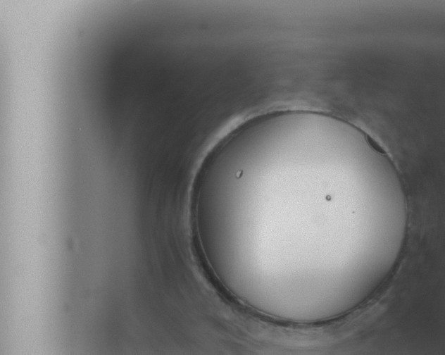 X0000072500008200607290118