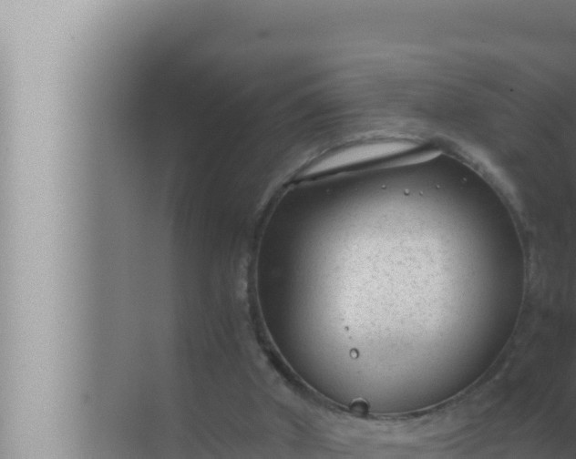 X0000072500010200607290117