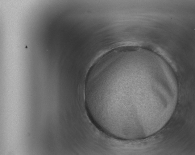 X0000072500011200607290117