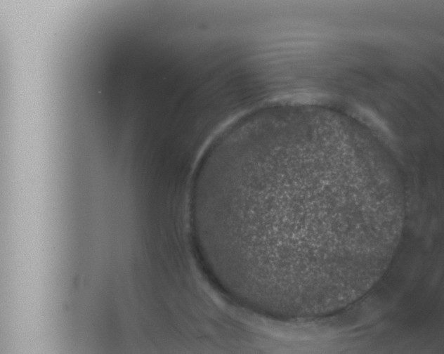 X0000072500012200607290117