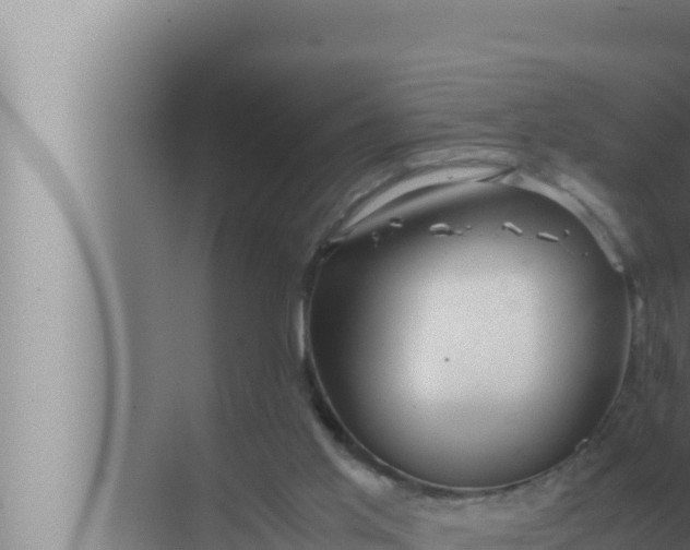 X0000072500013200607290117