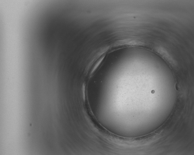 X0000072500014200607290117