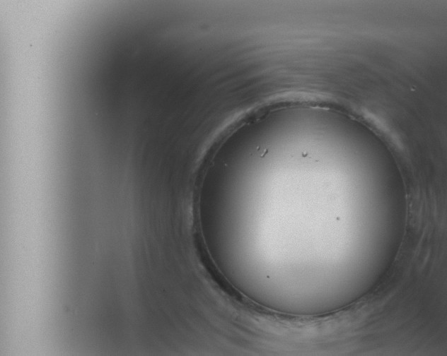 X0000072500015200607290117