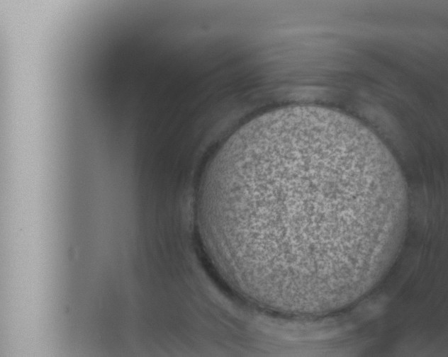 X0000072500016200607290117