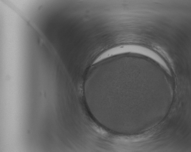 X0000072500017200607290117