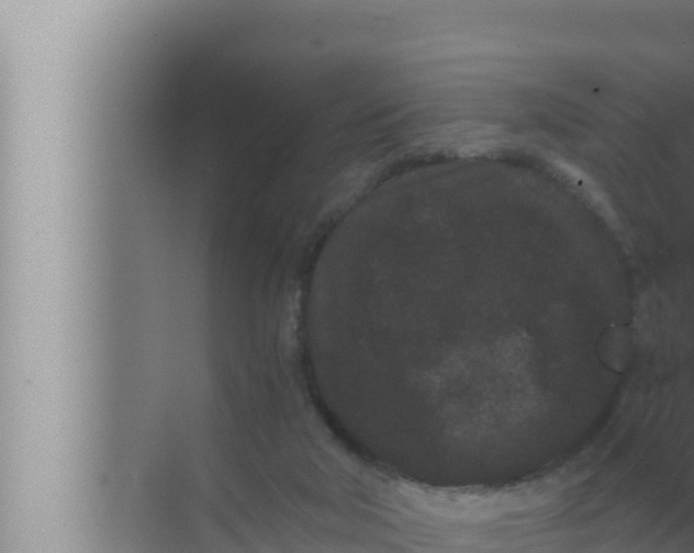 X0000072500018200607290117